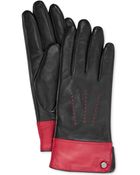 Lauren by Ralph Lauren Two Tone Thinsulate Glove - Lyst