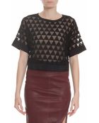 Elizabeth And James Gilroy Embroidred Crop Top - Lyst