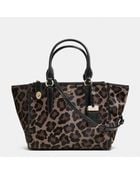 Coach Crosby Carryall In Printed Haircalf - Lyst