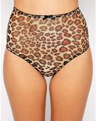 Asos Leopard Mesh High Waist Brief - Lyst