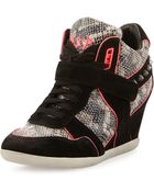 Ash Bisou Pipe-Trim Snake-Embossed Leather Wedge Sneaker - Lyst