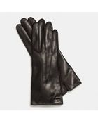 Coach Leather Basic Glove - Lyst