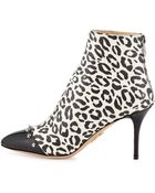 Charlotte Olympia Myrtle Leopard-Print Bootie - Lyst