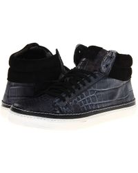 just cavalli trainers womens