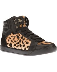 roberto cavalli trainers sale