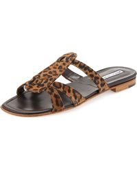 Manolo Blahnik Fregia Leopard-Print Slide Sandal - Lyst