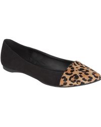 Jane Norman Pointed Brushed Leopard Flat Shoes - Lyst