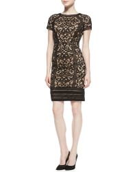 Tadashi Shoji Short-Sleeve Lace-Overlay Cocktail Dress - Lyst