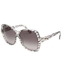 Emilio Pucci Women'S Square Zebra Transparent Sunglasses - Lyst