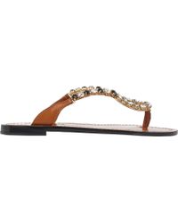 dolce and gabbana lace flats