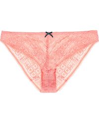 Elle Macpherson Aahana Sky Stretch-Lace Briefs - Lyst