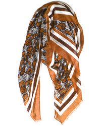 Rodarte Orange Butterfly Scarf - Lyst