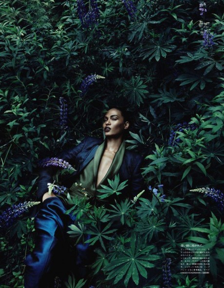 Welcome to the Jungle
