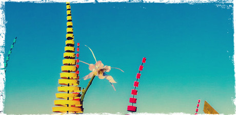 Coachella: Day