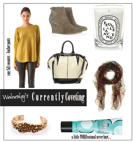 Wednesday's Currently Coveting