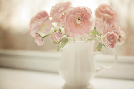 Pretty in Pink