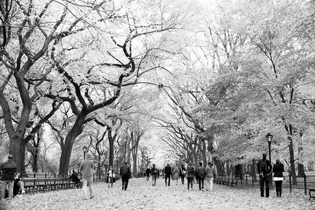 Baby, Its Cold Outside