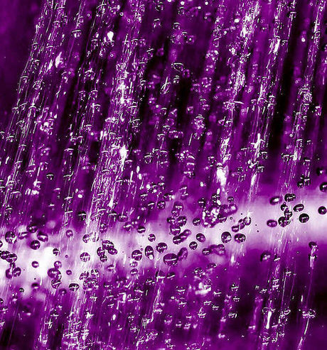 purpleRAIN
