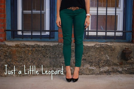 Just a Little Leopard
