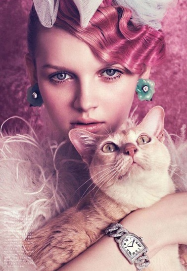 Oh My Pets