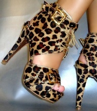 beautiful shoes .