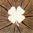 Lucky Brand's avatar