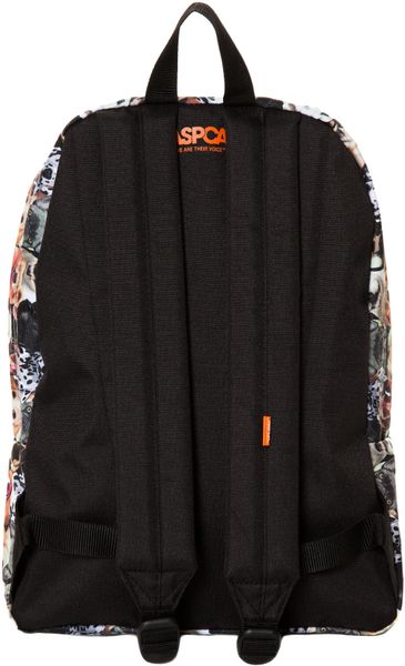 vans aspca dog backpack