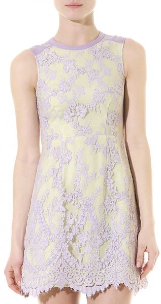 Whistles Elle Lace Dress in Purple (lilac)