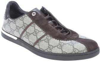 Brown Gucci Trainers