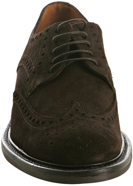 dark brown wingtip