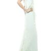 Zac Posen Feather Embellished Silkchiffon Gown in Green (mint) - Lyst