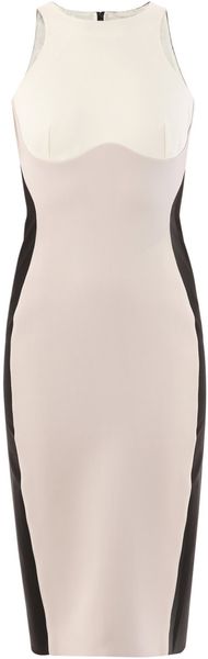 Stella McCartney Stretch Cotton Dress - Lyst