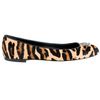 Giuseppe Zanotti Skull and Bones Leopard Ballerina in Animal (leopard) - Lyst