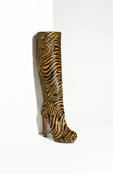 tiger boots brand