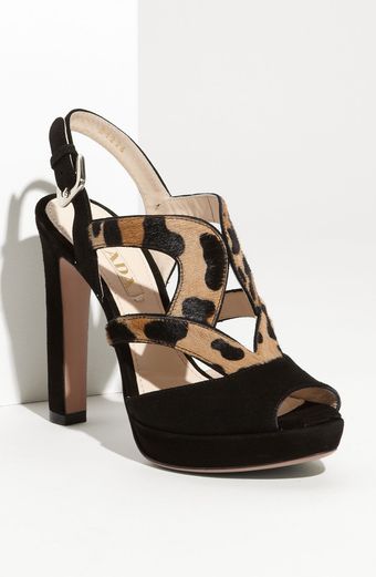 Suede & Leopard Print Calf Hair Sandal 