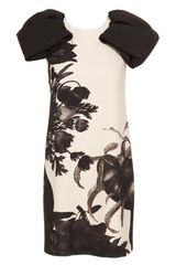 Giambattista Valli Floral Printed Crepe Wool Dress