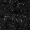 Donna Karan New York Feather and Sequinembellished Silk Dress in Black - Lyst