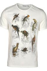 Topman Off White Tropical Birds Crew