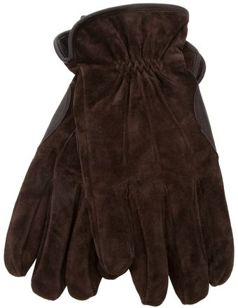 Dents Pigsuede Gloves - Lyst
