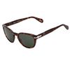 Persol Sunglasses in Brown - Lyst