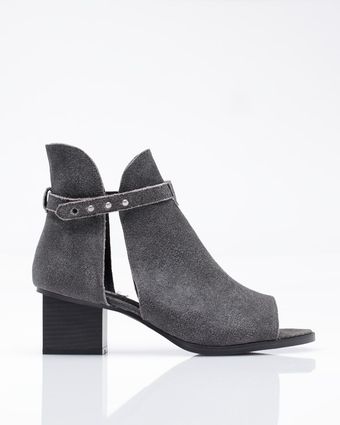  Kloss 