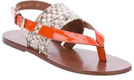 Dolce & Gabbana Infrodito Sandal in Orange - Lyst