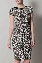 Max Mara Assenzi Dress