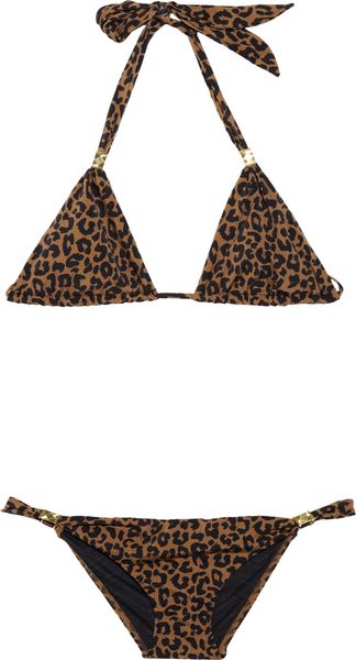 Charlie By Matthew Zink Farrah Leopardprint Bikini - Lyst