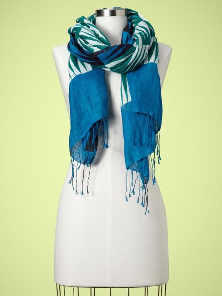 gap blue scarf