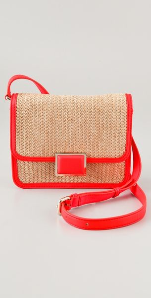  Solid Straw Janes Friend Elaine Bag 
