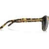 Alexander Wang Roundframe Acetate and Metal Sunglasses in Brown (black) - Lyst