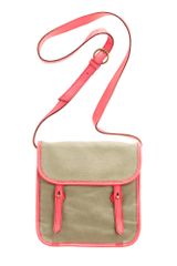 Madewell The Contrast Mini Mailbag