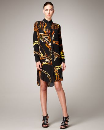  Printed Long-sleeve Shirtdress 