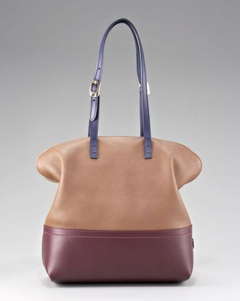  Silvana 2bag Colorblock Tote 